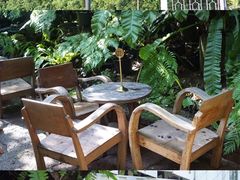 -Fern Forest Cafe