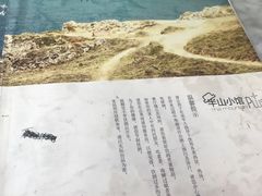 -永丰号夜宵潮汕餐厅