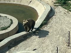 -青藏高原野生动物园