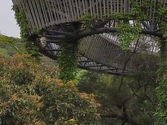 -福道