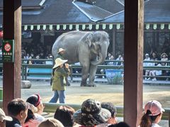 -野象谷景区