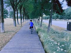 -汉长安城未央宫国家考古遗址公园