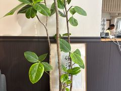 -沏点Trattoria意大利餐厅(新街口店)