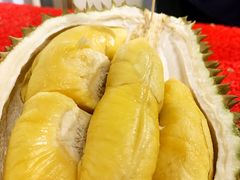 -都念榴莲·城市榴莲