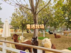 -盈香心动乐园