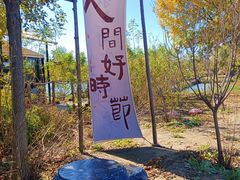-西青郊野公园