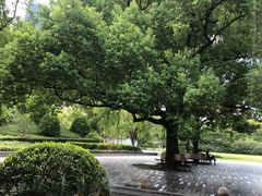 -御花园·粤菜·海鲜火锅(中山公园店)