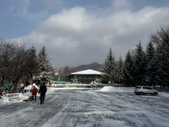 -横道河子东北虎林园