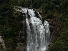 -海南热带雨林国家公园吊罗山景区