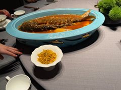 -阿五黄河大鲤鱼(海尚店)