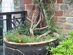 -瓦库茶馆17号(海汇港店)