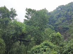 -火炉山森林公园