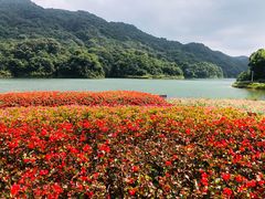 -广州市石门国家森林公园
