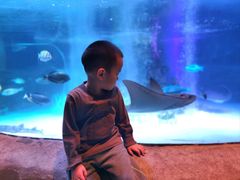 -沈阳海洋探索中心