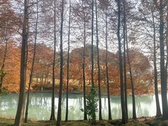-尚贤河湿地