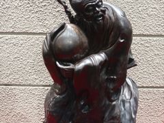 -乐山乌木文化博览苑