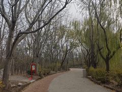 -塘沽森林公园