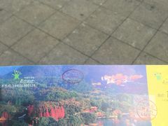 -深圳仙湖植物园-停车场
