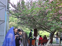 -西安青龙寺遗址景区