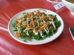 -优游吧斯邹族文化部落