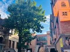 -天津五大道文化旅游区