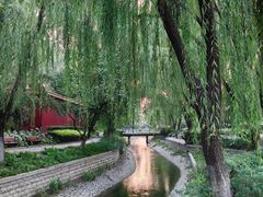 -菖蒲河公园