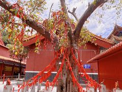 -南国桃园旅游度假区