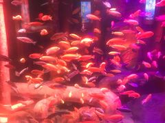 -沈阳海洋探索中心