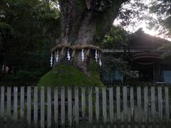 -热田神宫