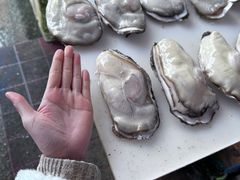 -大湾区中央湿地公园-十九涌