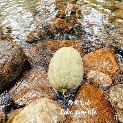 -Oasis Beauty水磨坊科技美肤中心