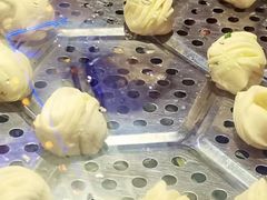 -鸽子刘铁锅炖鱼(劲松店)