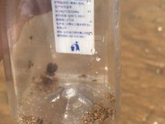 -刘家湾赶海园