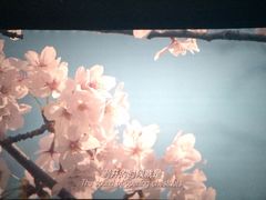 -南宁时代电影大世界(CGS激光中国巨幕)