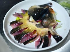 -煲来饱去冷水鱼