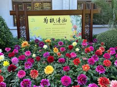 -陶然亭公园