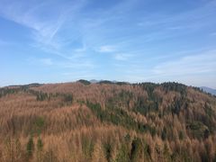 -山王坪喀斯特国家生态公园
