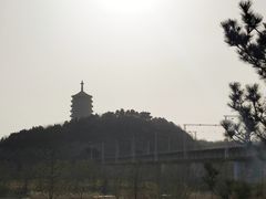 -永定河休闲森林公园