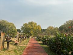 -扬子江公园