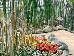 -南山植物园