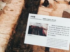 -南越王博物院