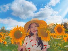 -汉长安城未央宫国家考古遗址公园