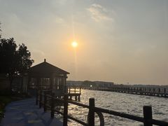 -鹅湖玫瑰文化园