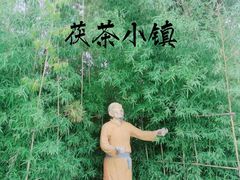 -茯茶镇