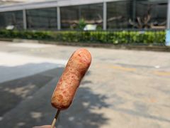 -深圳野生动物园