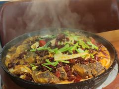 -老板恋上鱼(振华商厦店)