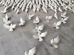 -福田美术馆——新童话主义－周艺文艺术季