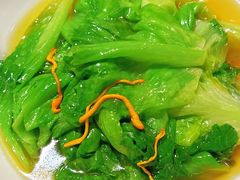 -正佳广场万豪酒店-粤菜餐厅·点心·海鲜·聚餐