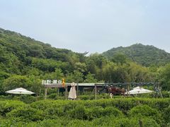 -北仑森林植物园