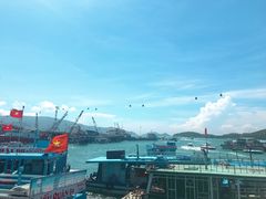 -珊瑚岛